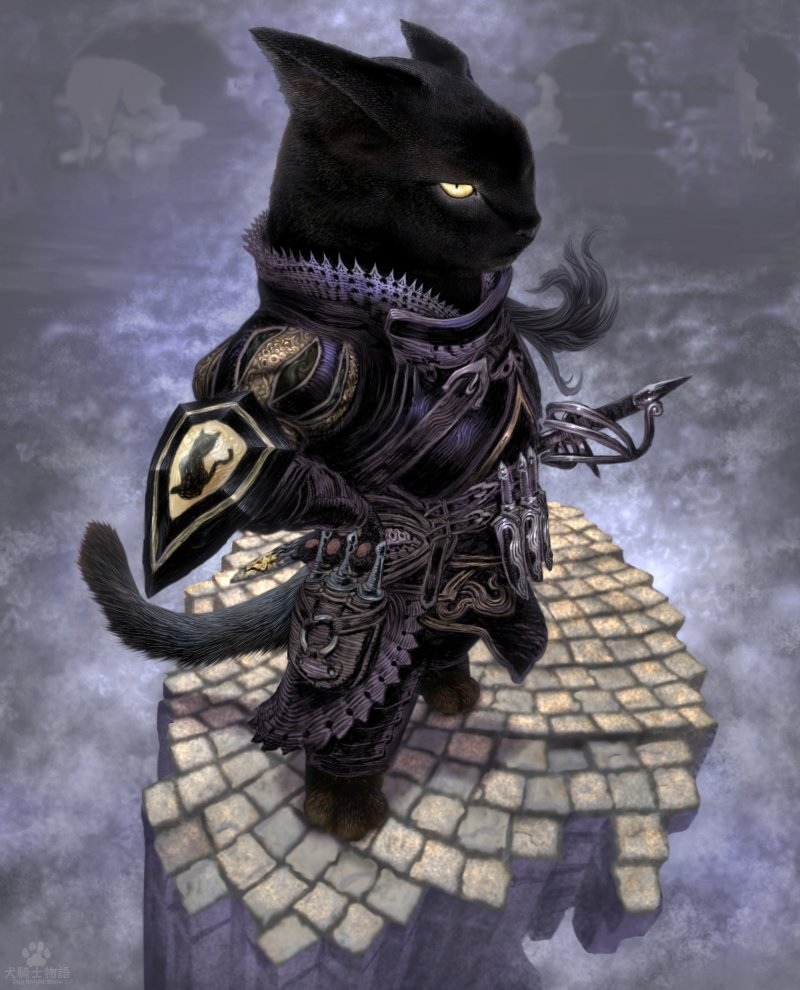 Кот одиночка