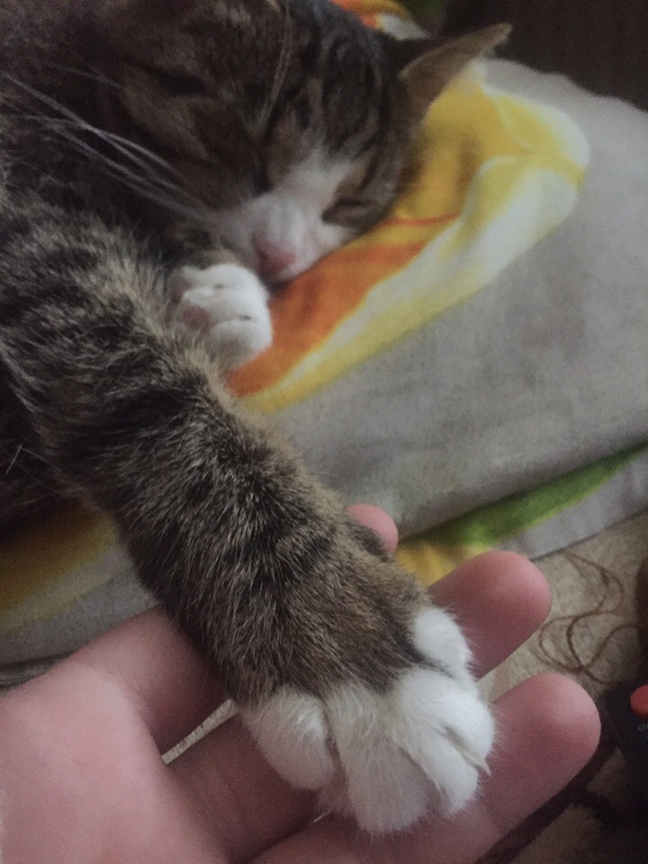 Дружеское прикосновение