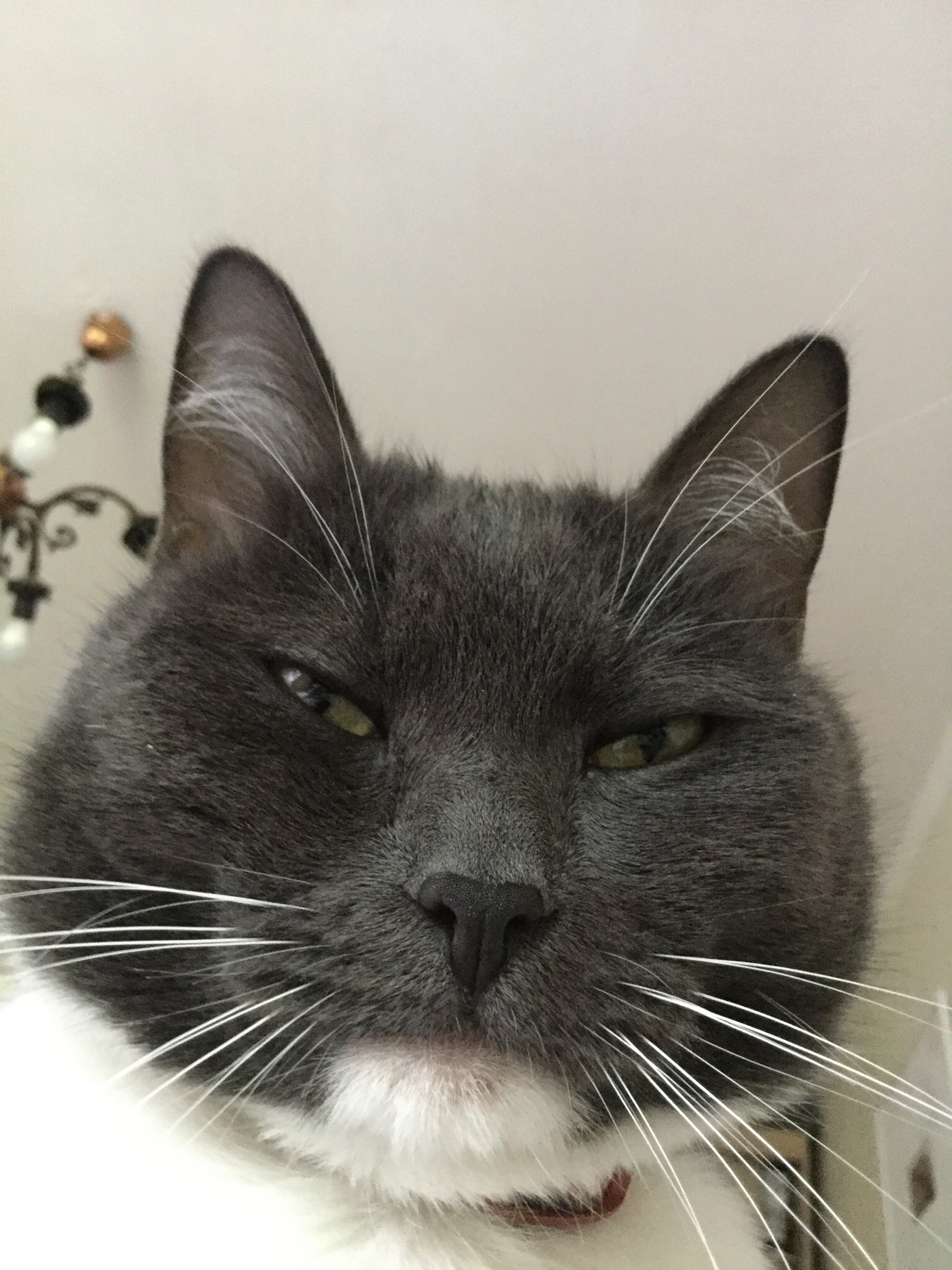 Привет от Мордатыча