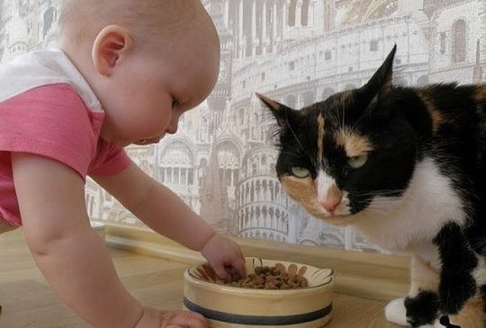 Ребёнок с трёхцветной кошечкой