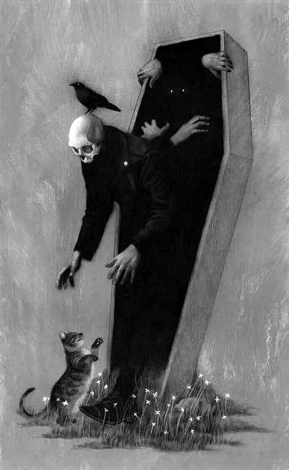 Кот встречает скелета