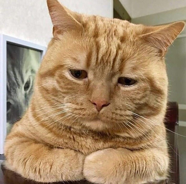 Рыжика обидели