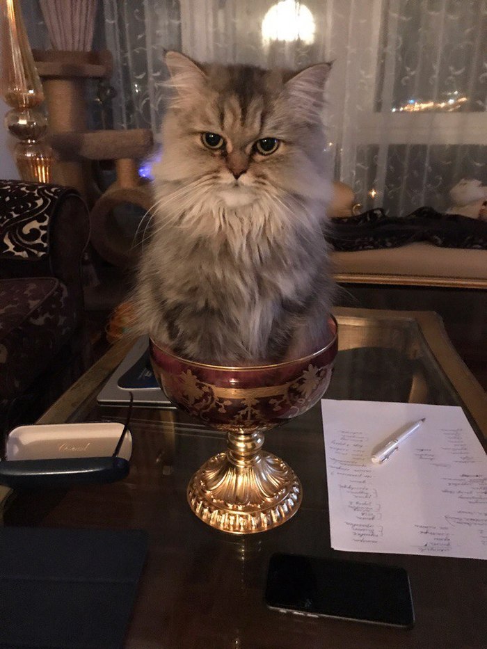 Подарок в кубке