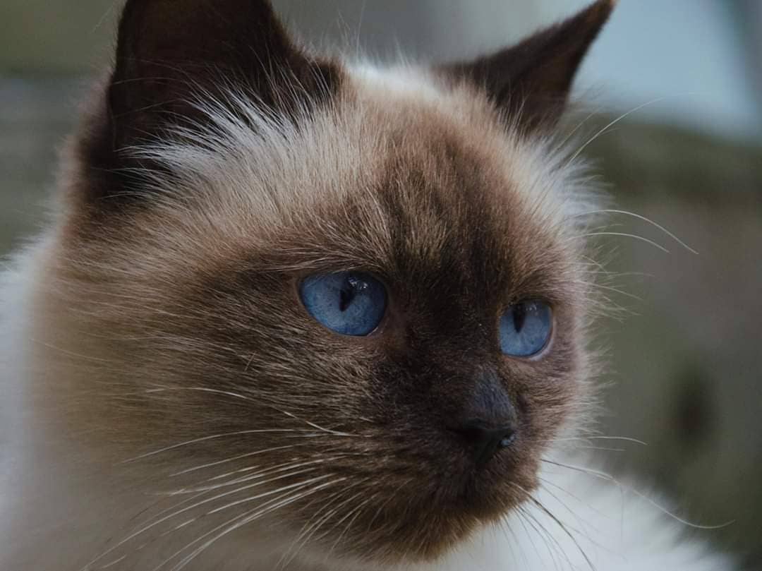 Милая мордашечка