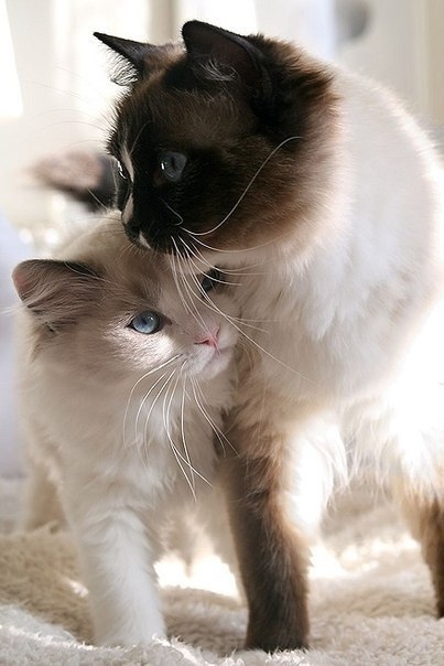 Мамина красотулька