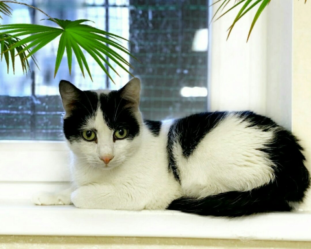 Сёма отдыхает