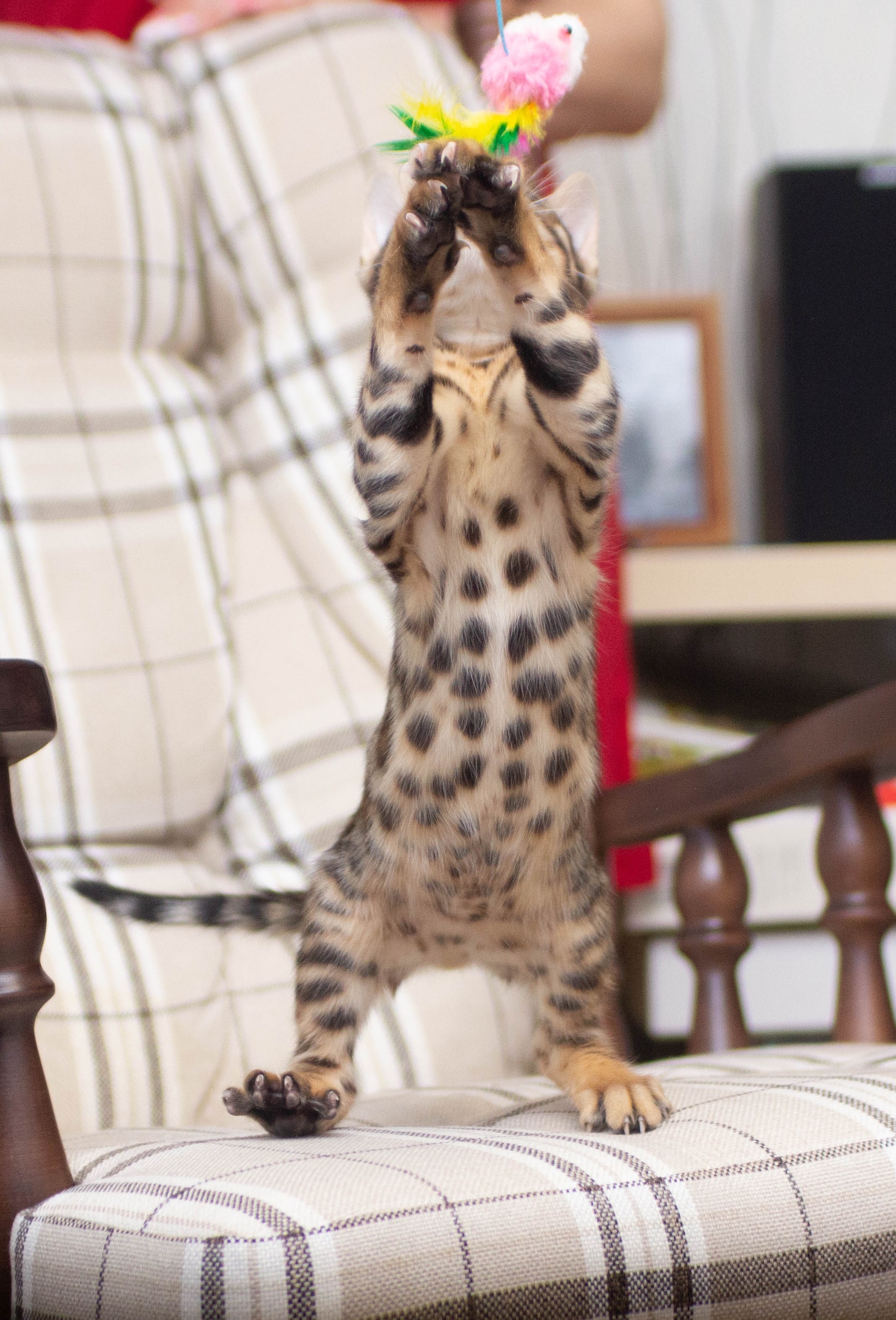 Игрульки с удочкой