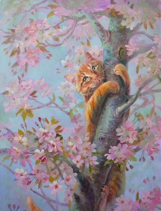 Рыжик на дереве