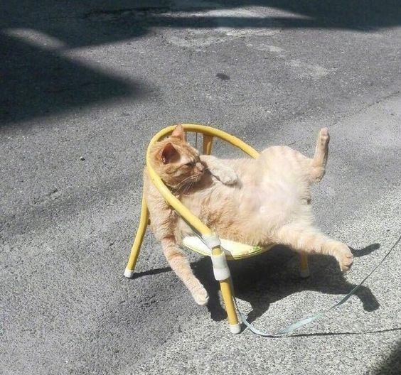 В карантине так