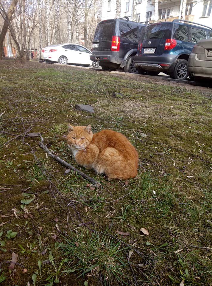 Главный во дворе