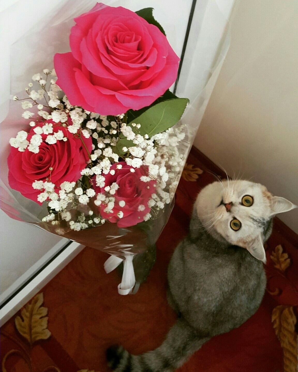 Кошечка и букет