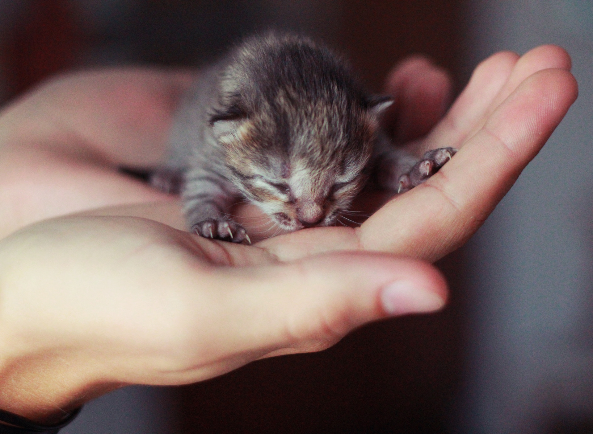 Малыш на ладошке