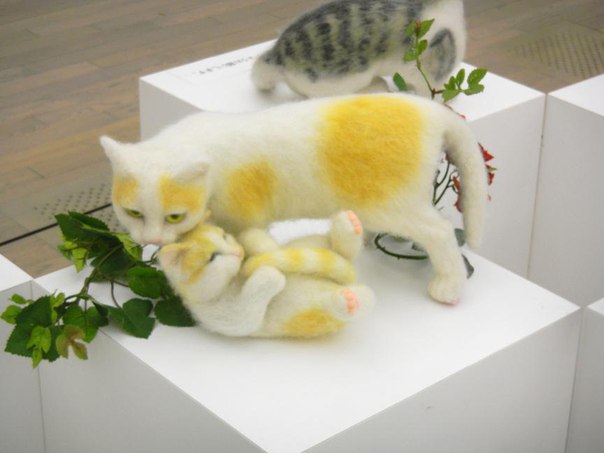 Кошечка облизывает малыша