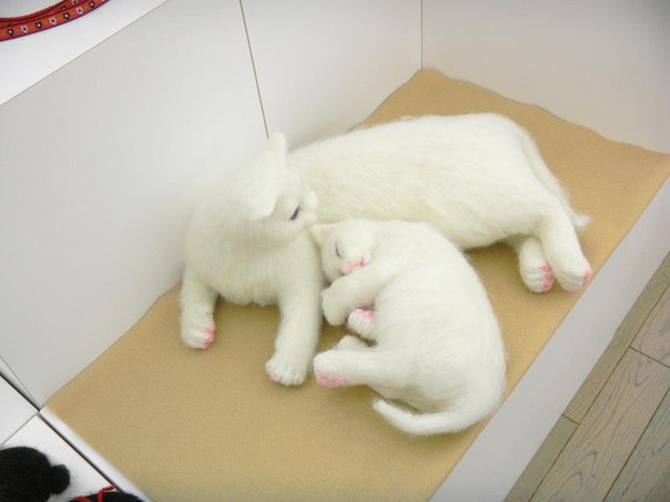 Кисуля с котёнком