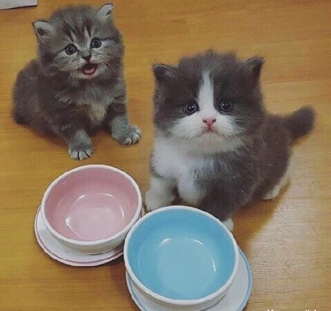 Есть давайте