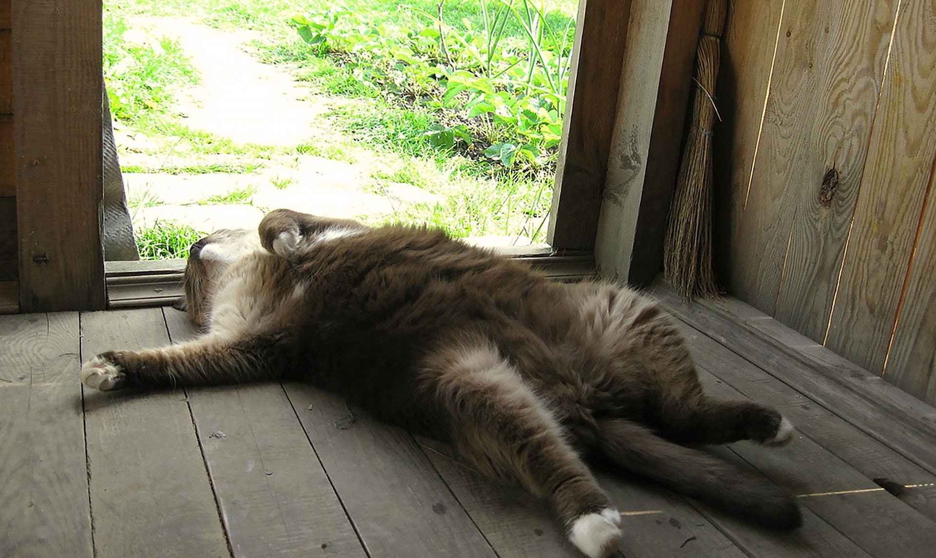 Спящий сторож