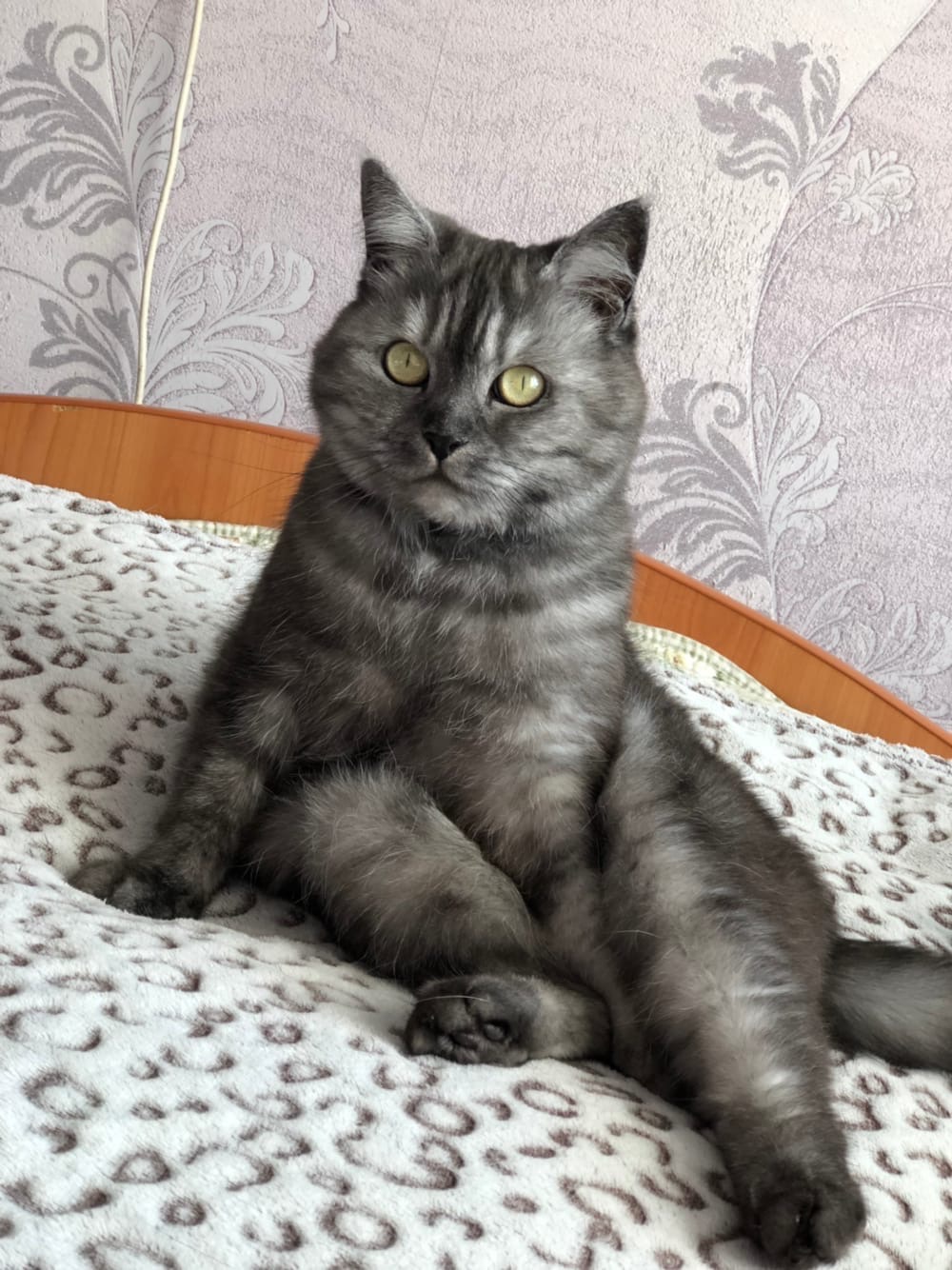 Полосатая красотуля