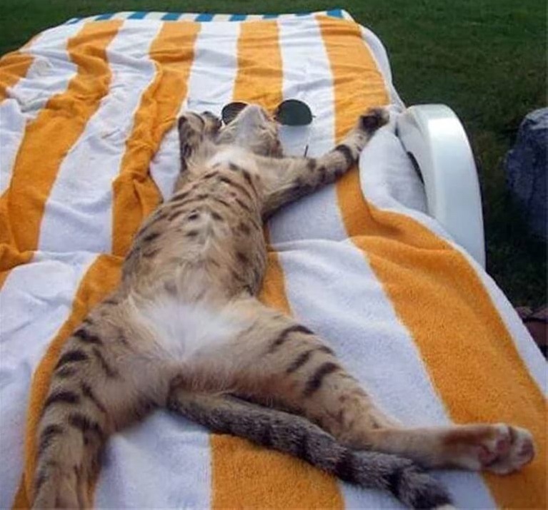 Отпуск это кайф