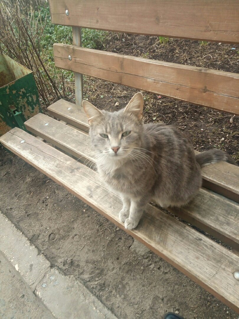 Присаживайся, поговорим