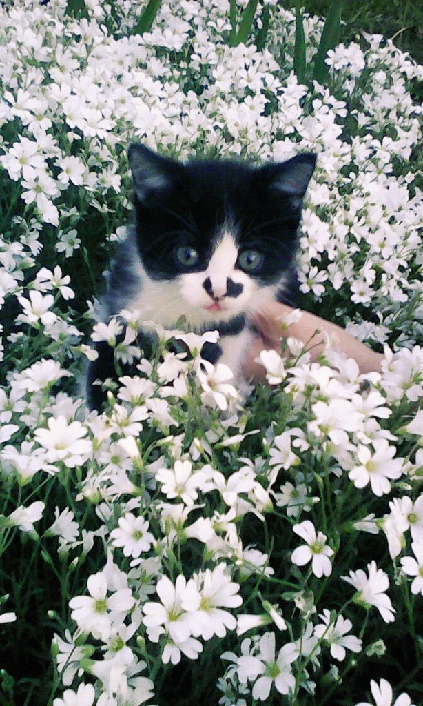 Знакомство с прекрасным