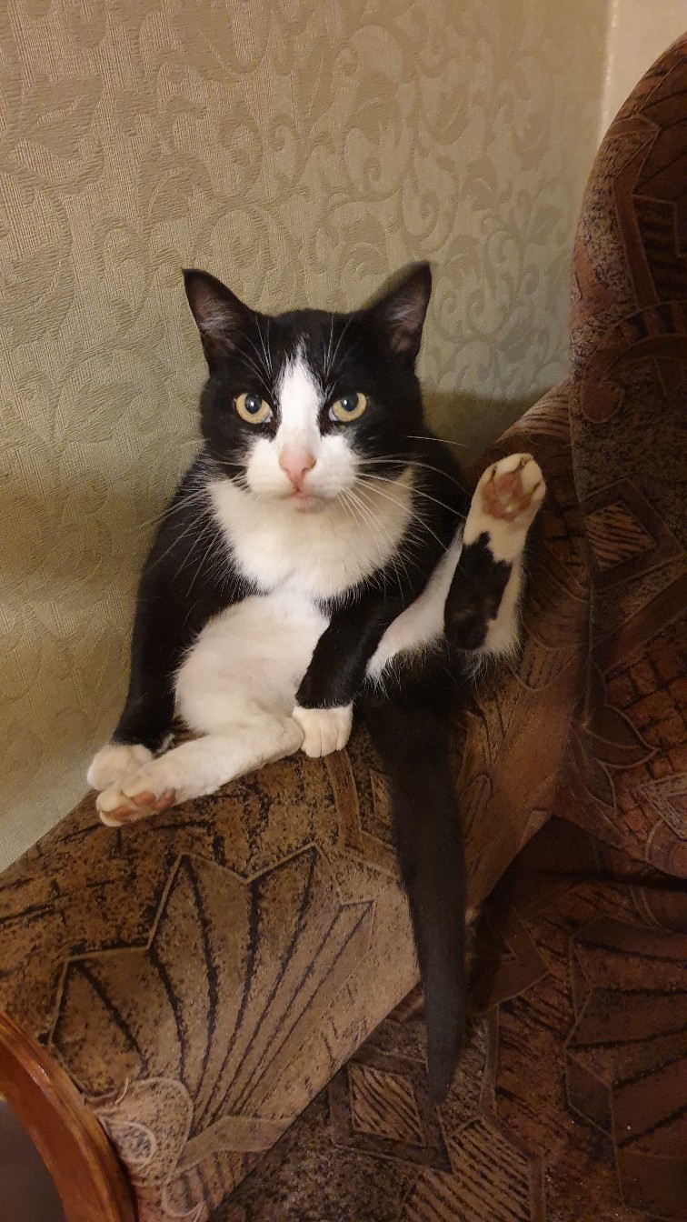 Застигнут во время мытья