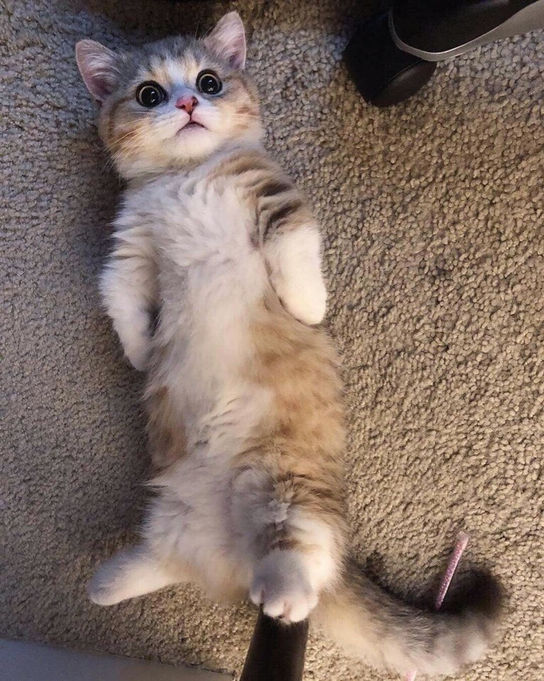 Что, уже нашли