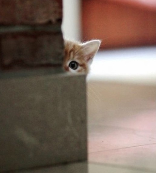 Что, никак не найдёте