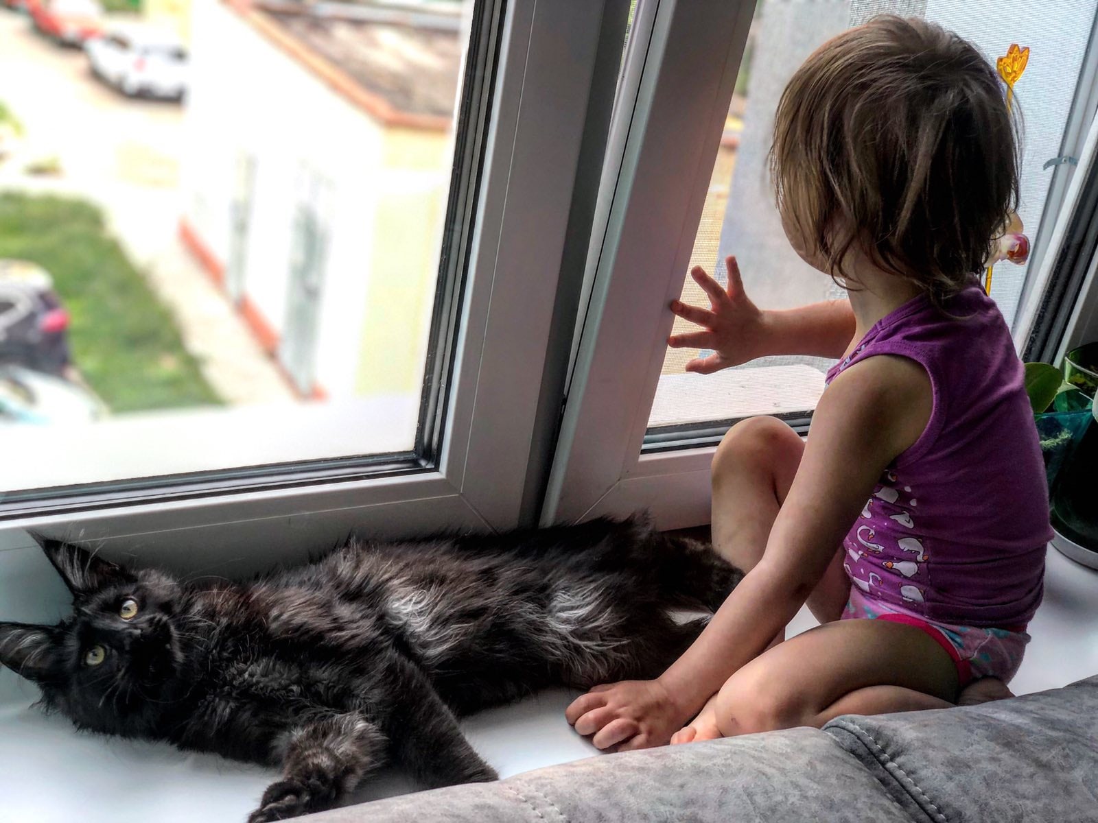 Посиделки на подоконнике