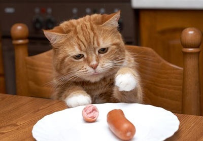 Сейчас попробую кусочек