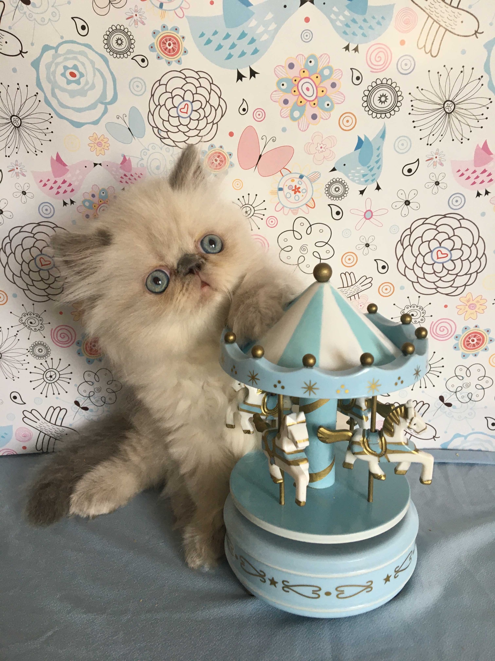 Океан Очарования