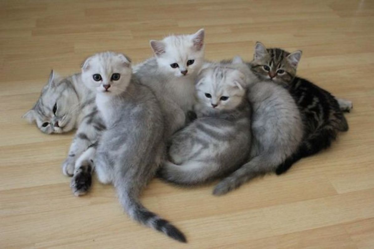 Это, наша мама