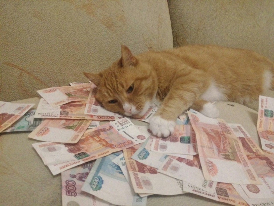 Купюры примагнитили