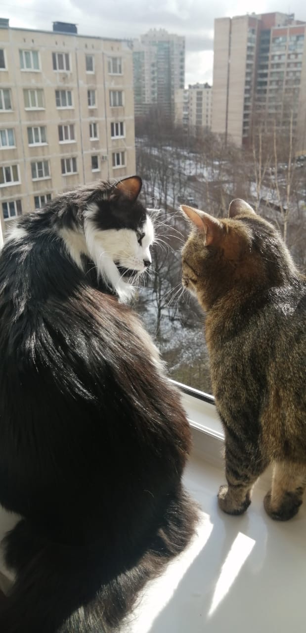 Смотри, тучи надвигаются