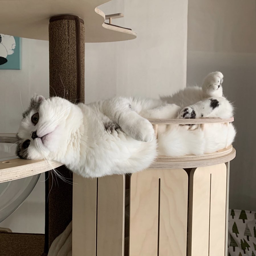 Удобнее и не ляжешь