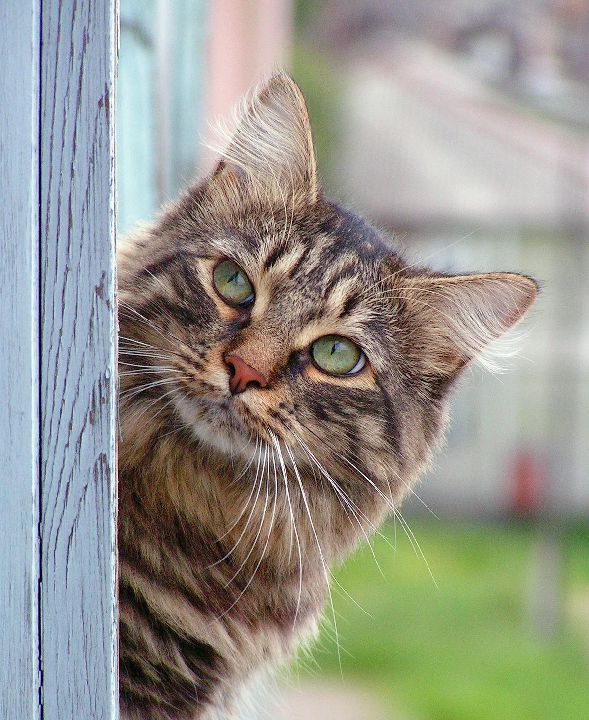 Кто там пришёл