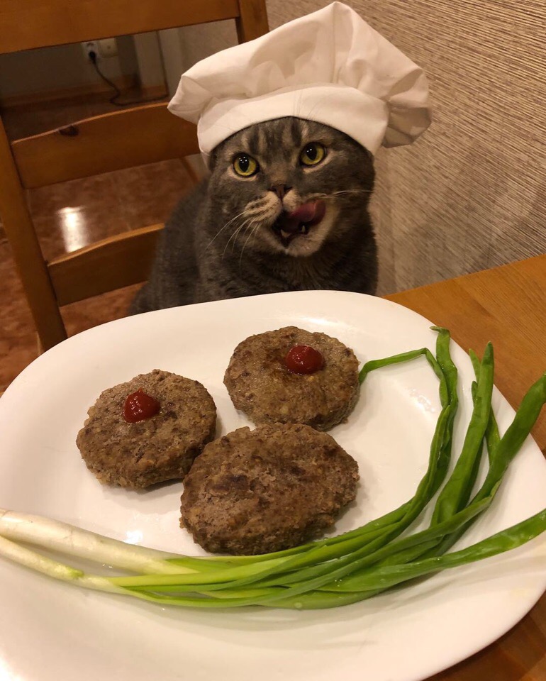 Усатый поварёнок