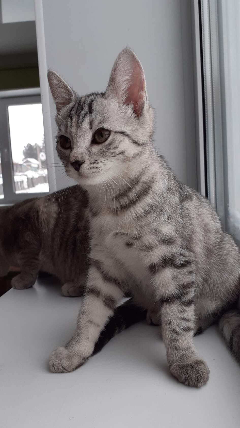 Ничего интересного