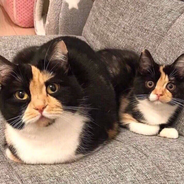 Трёхцветные ксерокопии