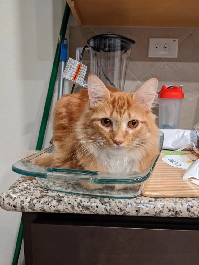 Будем запекать