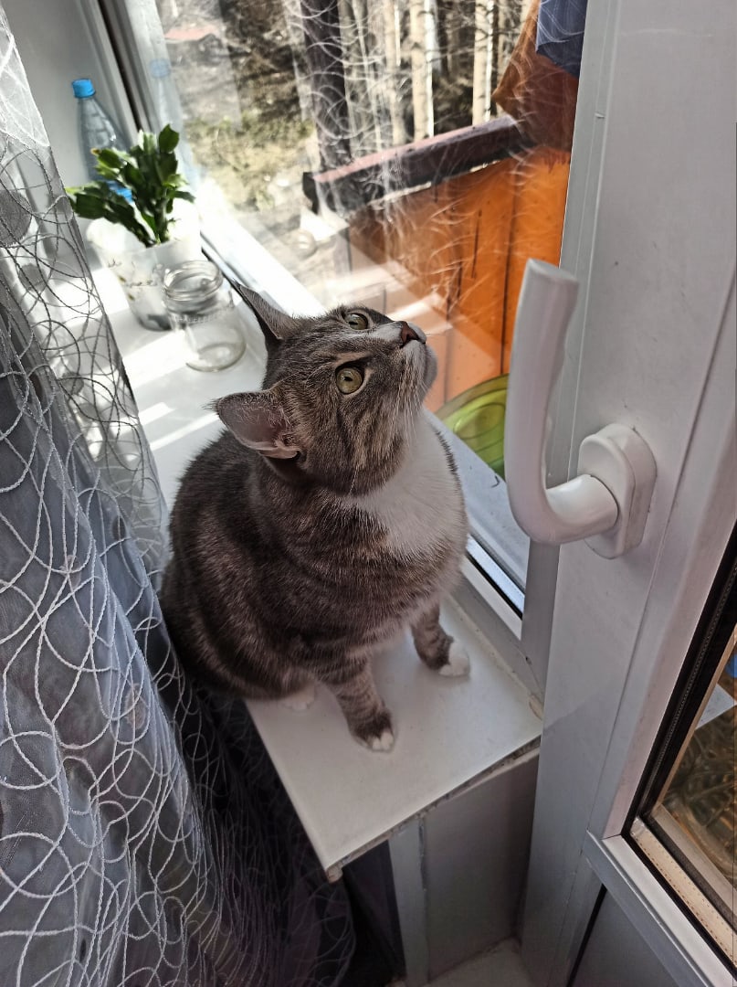 Сим сим, откройся