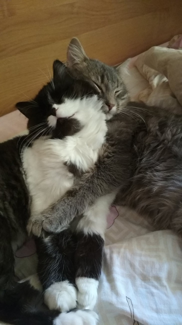 Нежные обнимашки