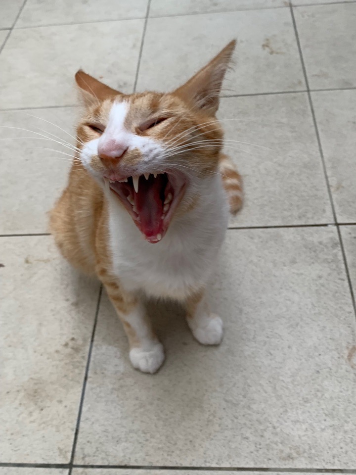 Ой, что так рано разбудили