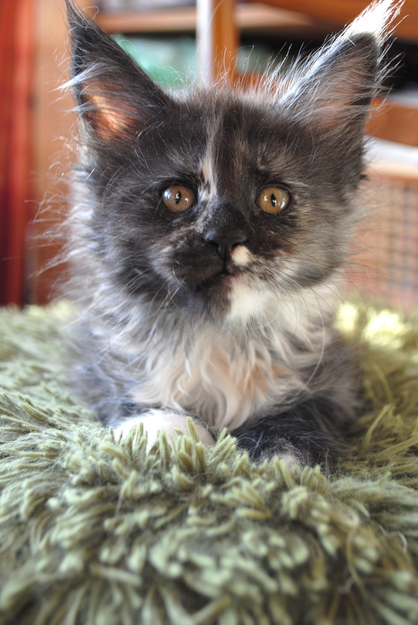 Привет мне 2 месяца