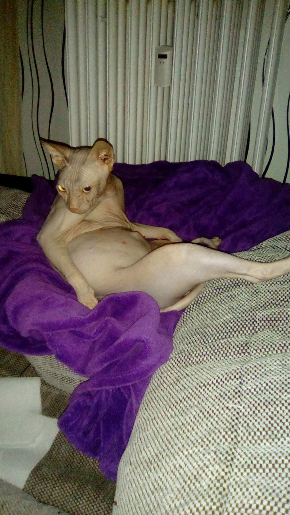 Подготовка ко сну