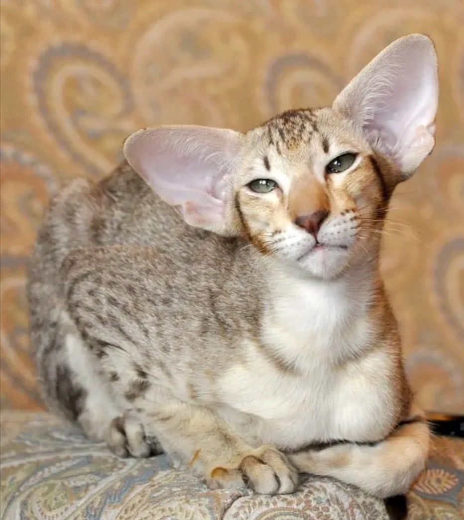 Можно потише сверлить