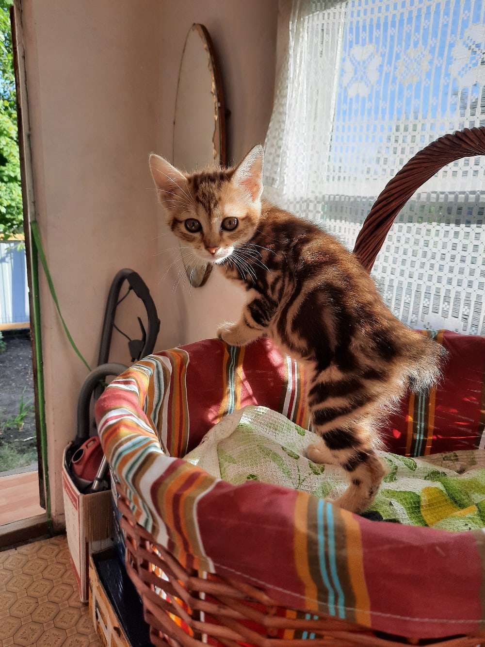 Собралась на прогулку