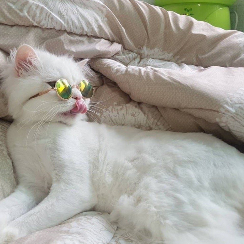 Гламурная красота