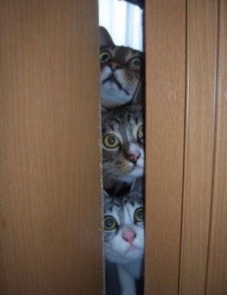 Может нас, не найдут