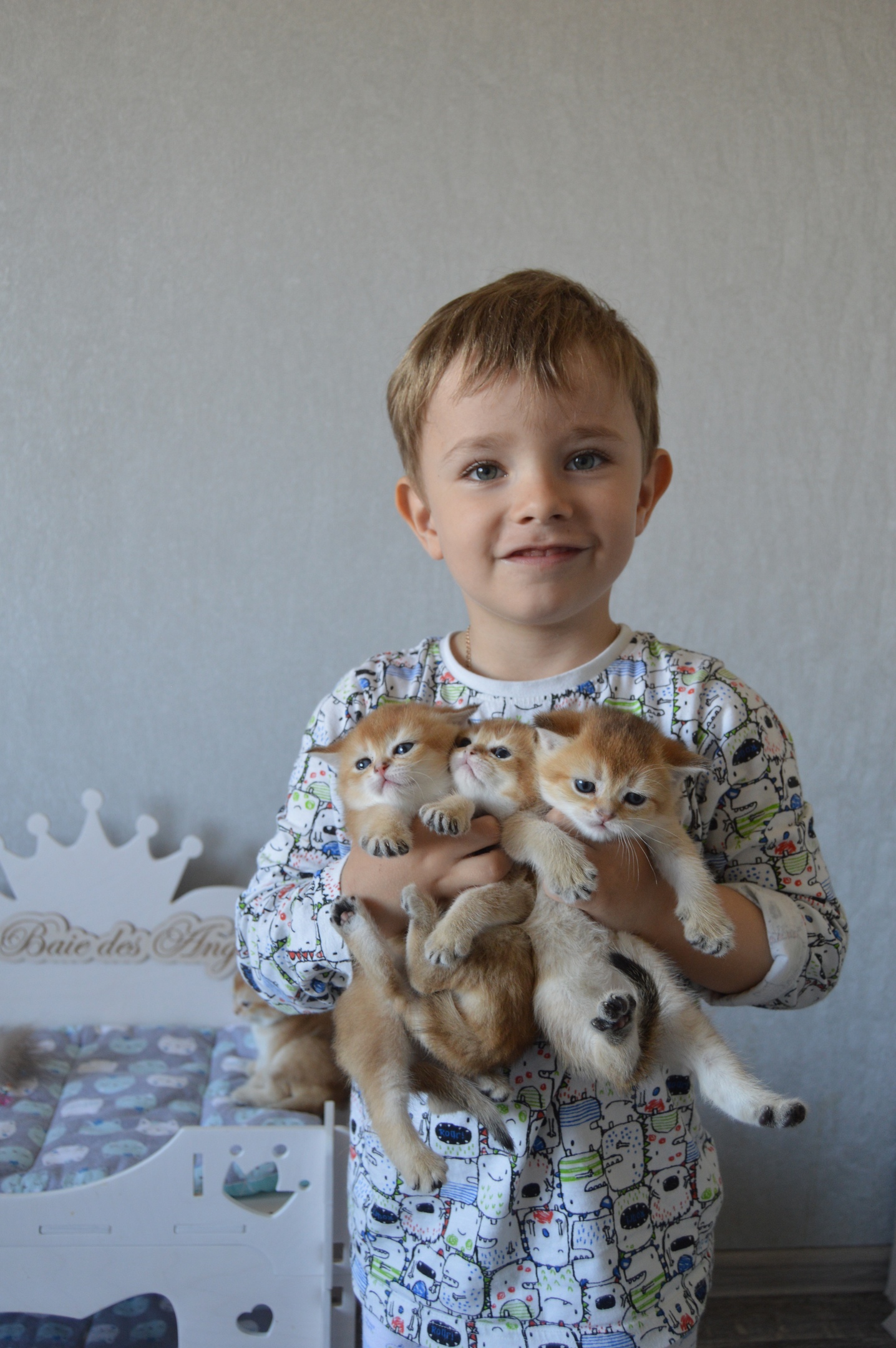 Мальчуган с котятами