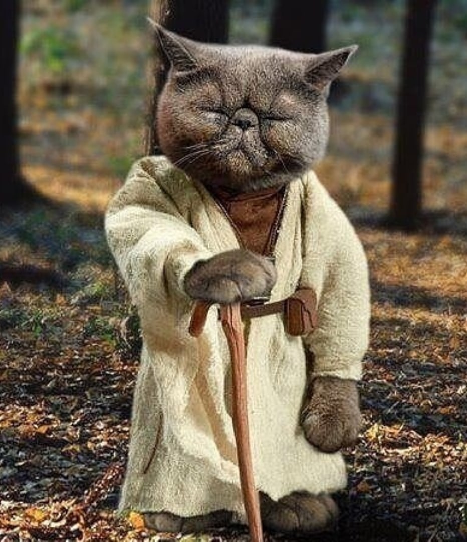 Гранд мастер КотоЁда